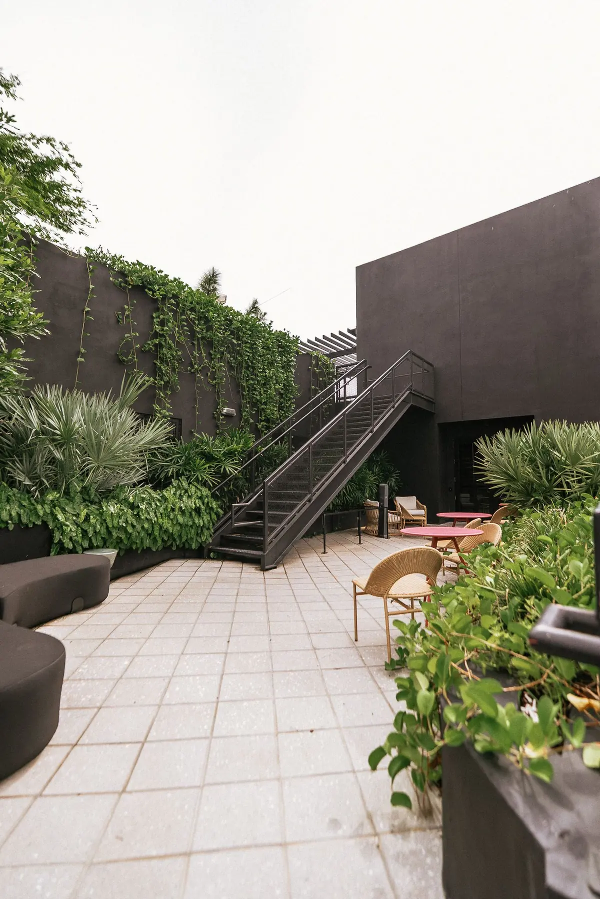 COTIDIANO wynwood restaurant content, photo 19 by WHATEVR Creative Studios