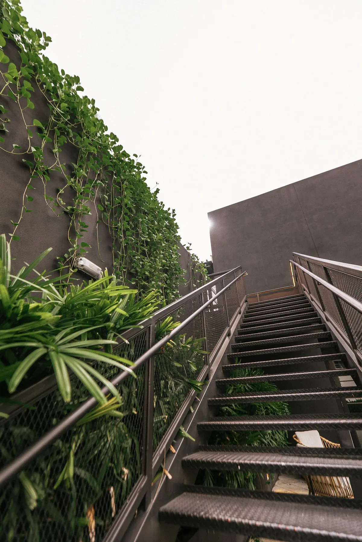 COTIDIANO wynwood restaurant content, photo 20 by WHATEVR Creative Studios