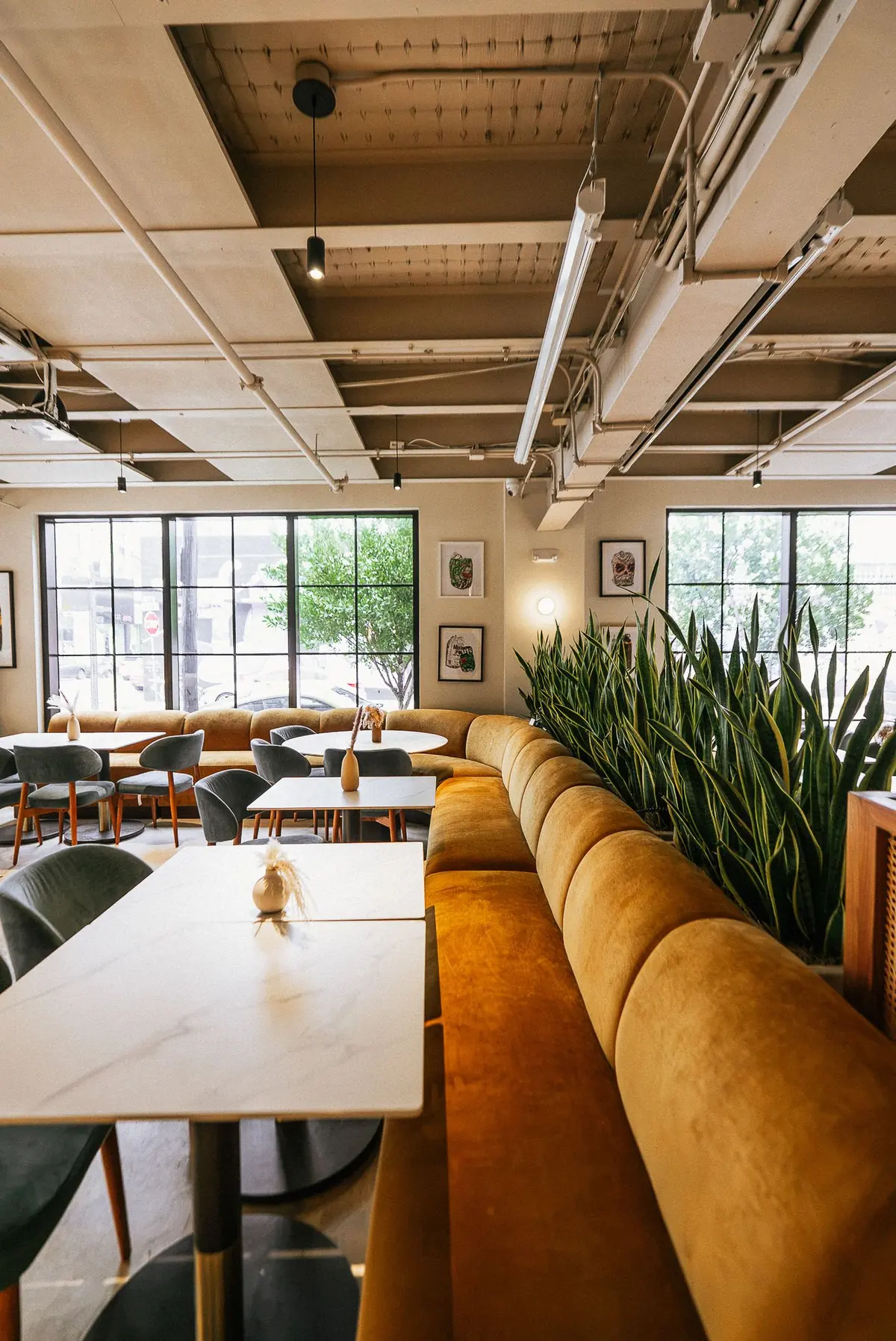 COTIDIANO wynwood restaurant content, photo 29 by WHATEVR Creative Studios