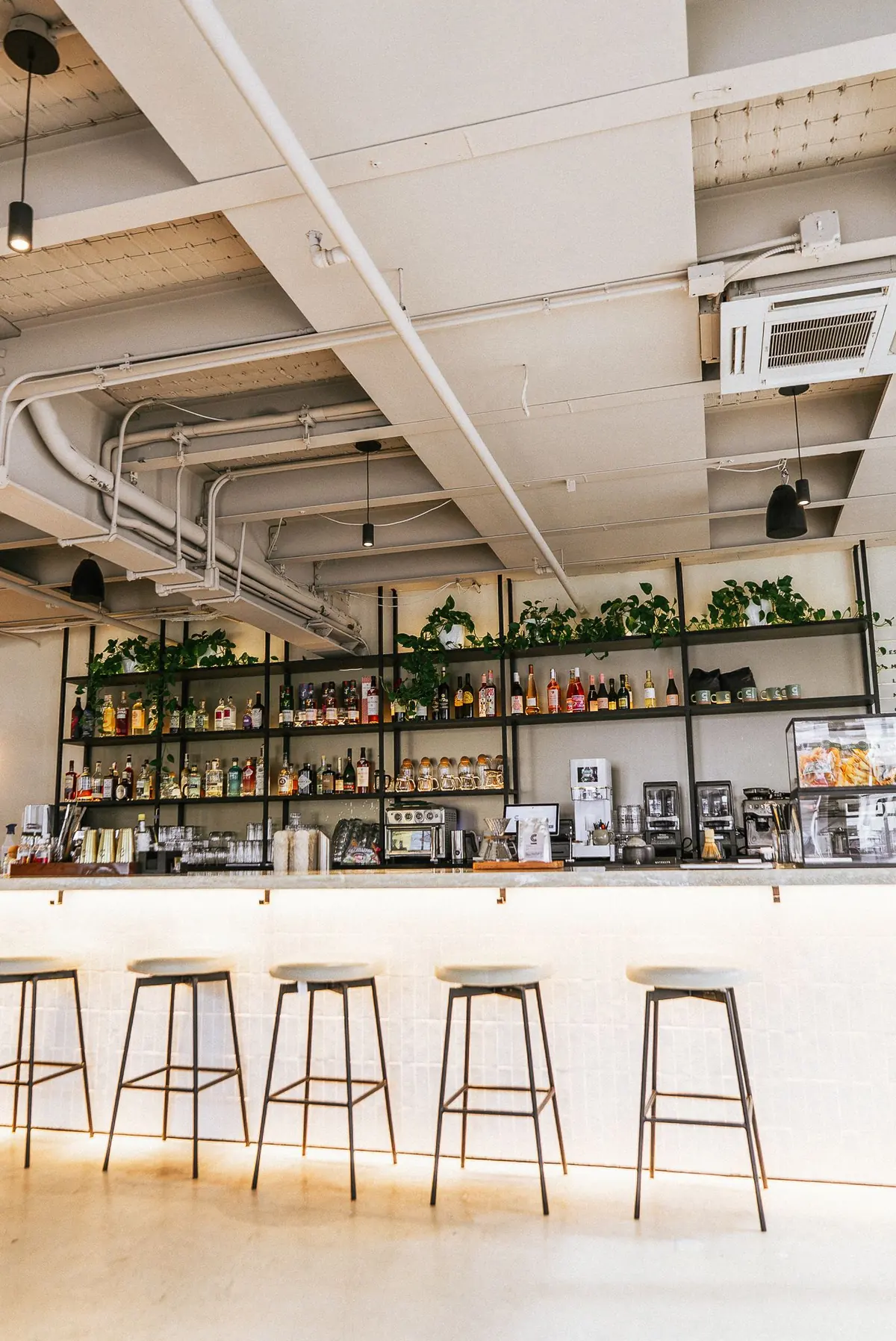 COTIDIANO wynwood restaurant content, photo 32 by WHATEVR Creative Studios